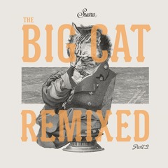 Coyu - Unexpected Souvenir (Doorly Remix)(Suara)OUT NOW
