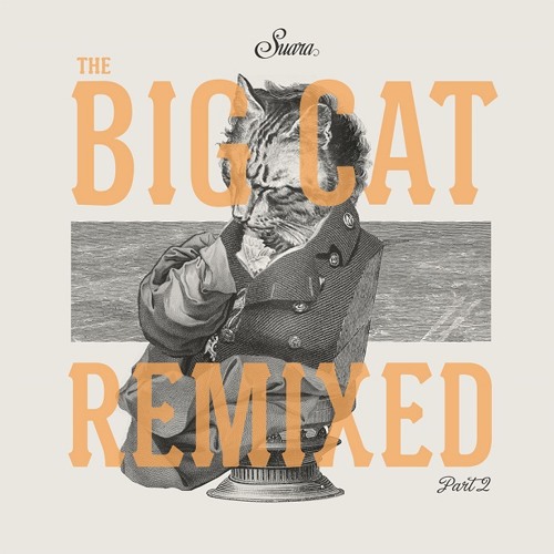 Coyu - Unexpected Souvenir (Doorly Remix)(Suara)OUT NOW
