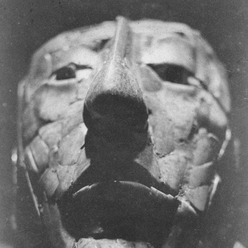 Aki Onda - I Tell A Story Of Bodies That Change, 2012
