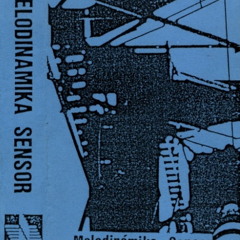 MELODINAMIKA SENSOR Magneto Bex