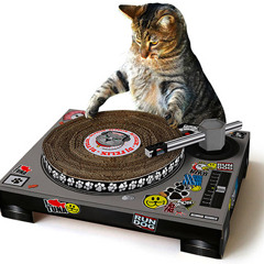 Cam & maNu " InsTrumenAL"