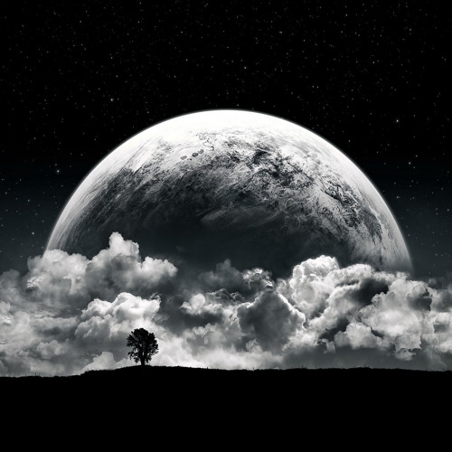 Alston - Moonbeams