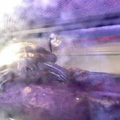 I don't know what to do