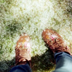 Rapt (Karen O Cover)