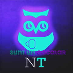 SUNT UN COCALAR #NoapteaTârziu (Cover J Balvin - Tranquila)