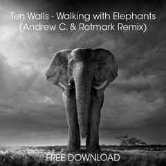 Ten Walls - Walking With Elephant (Andrew C. & Marco Clock Remix) FREE DOWNLOAD
