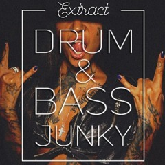 EXTRACT - Drum&Bass Junky