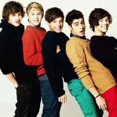 18 One Direction