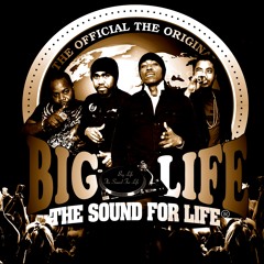 Mr Easy - Strangest Thing - BigLife Sound - Dub SpeciaL