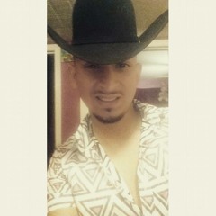 poder chicano de slp