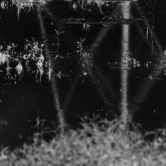 Exterminio Industrial