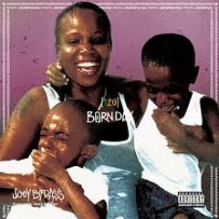 Joey Bada$$ - Born Day (AquariUS) (prod. By Statik Selektah)