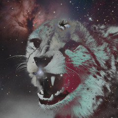 Trance — Set 4