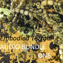 1 Orienting to the Terrain - sample