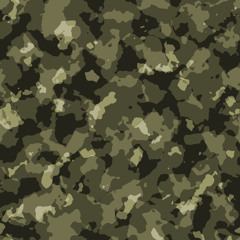 // Camouflage \\