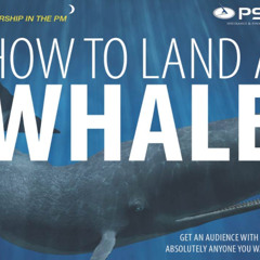 SPERM WHALES [26th January 2004, 1998 - 2015]