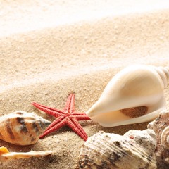 Aparima - Te Tama Ma'ohi