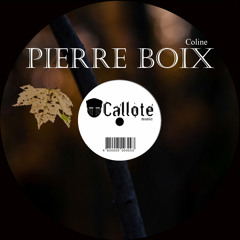 Pierre Boix - Plaisir Partagee (Original Mix) [Callote]
