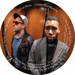 DS17 02 Life On Planets - Fork In The Path (Luke Solomon's Body Mix) SC Edit