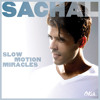 Sachal - Neither One of Us (Wants to Be the First to Say Goodbye)