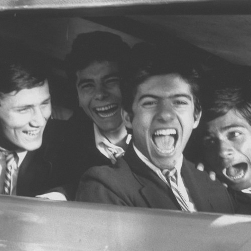 Perfidia بيرفيديا