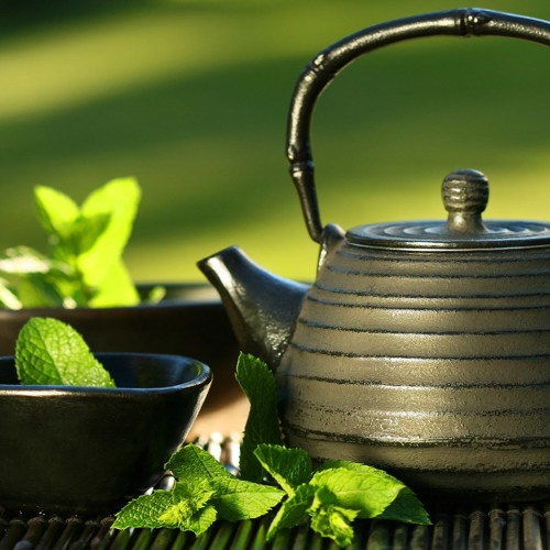 Zhang Fu-quan & Hao Han - A Tea Ballad