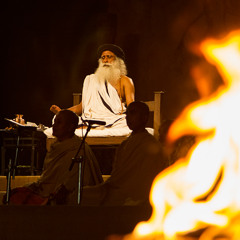 Sadhguru voice