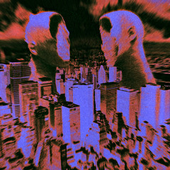 Bambounou "Composer" (50WEAPONSCD/LP17)Out February 27, 2015