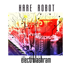 Hare Robot - Peace (74 Bpm)