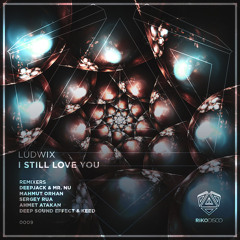 Ludwix feat. Katya Slok - I Still Love You (Original Mix)