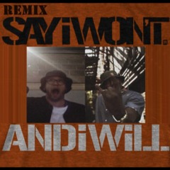 DJ SaySo -  Say I Wont Remix