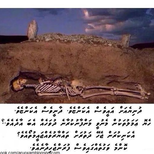 Ali Rameez - Ya ZalJalaalee