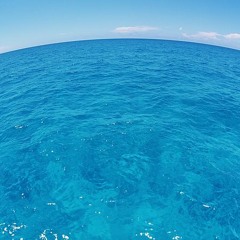 Deepsea