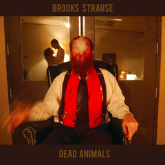 A Kiss Is Not A Kiss (2015 Reissue) - Brooks Strause