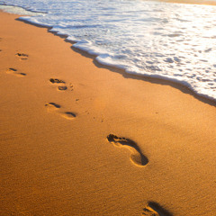 MelloTheDon X Burnz-The Walkthrough