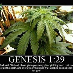 You Know How We Do ft. Governor Washington