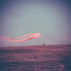 FlyWithMe