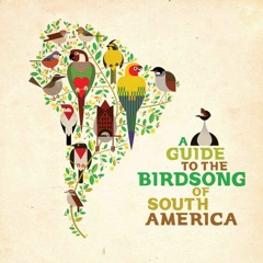 Following the Birds South...