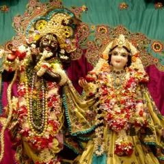 Kirtan premi das 19-11-2014 at 24 hour kirtan VBN