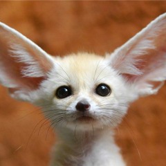 Ear Hustling with Derek McGuire