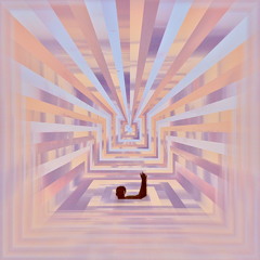 A Sunlit Room