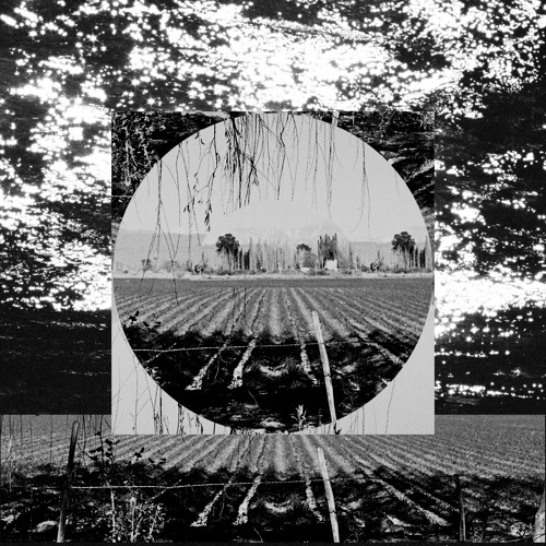 Garden Path Song