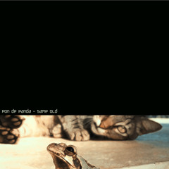 Pon De Panda - Same Old