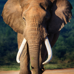 Hortonworks Accelerates The Big Data Mashup Between Hadoop And HP HAVEn