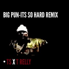 (BIG PUN-ITS SO HARD REMIX) TS X T-RELLY