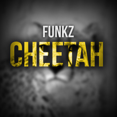 Funkz - Cheetah (Original Mix)