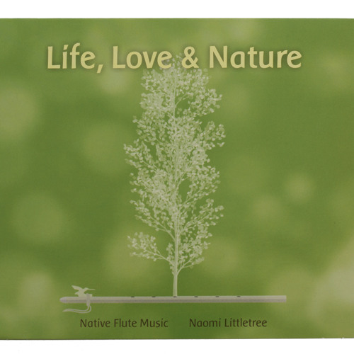 Crescent Moon In The Desert - Naomi Littletree - Life, Love & Nature