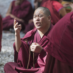 Tibetan Monks' Spirited Debates