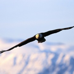 Vuela Alto - Leal Mc Feat Natalia (Dedicado Para Hugo Q. D. E. P.) Leal Mc