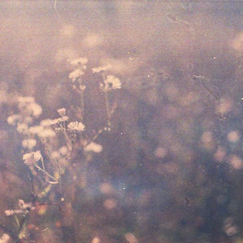To Let Go (from the album 'And So It Is')